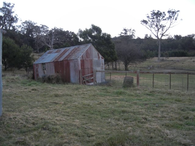 Old tin house similiar to ones bulldozed in the Gully, Katoomba